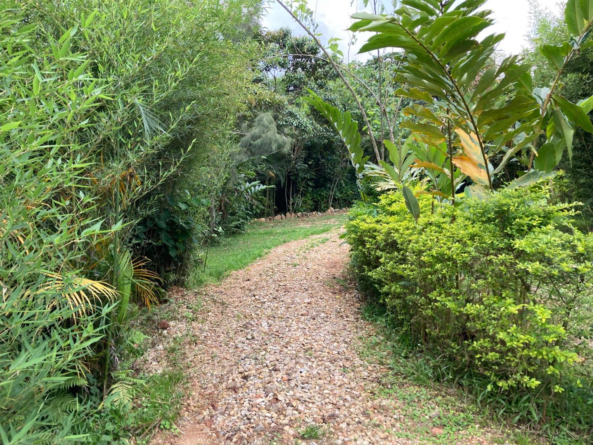 Bwindi Guest House Kanungu Kültér fotó