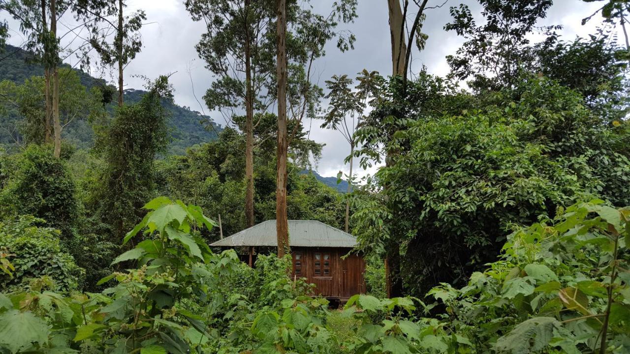 Bwindi Guest House Kanungu Kültér fotó