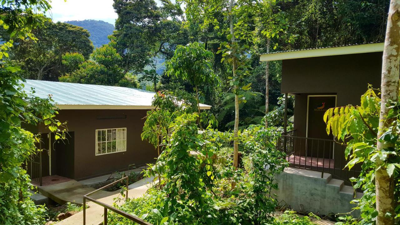 Bwindi Guest House Kanungu Kültér fotó