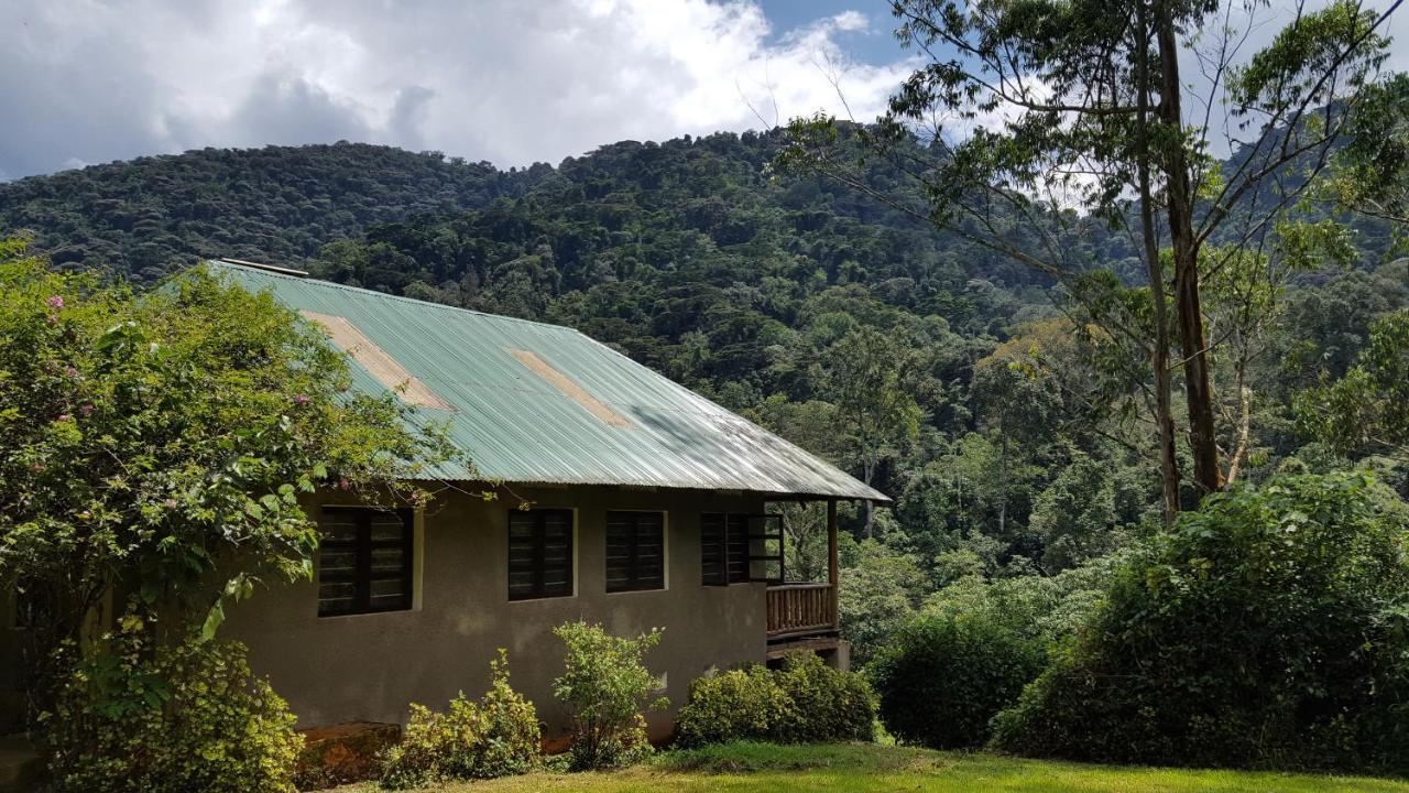 Bwindi Guest House Kanungu Kültér fotó