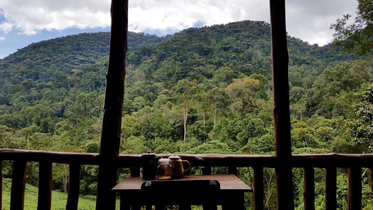 Bwindi Guest House Kanungu Kültér fotó