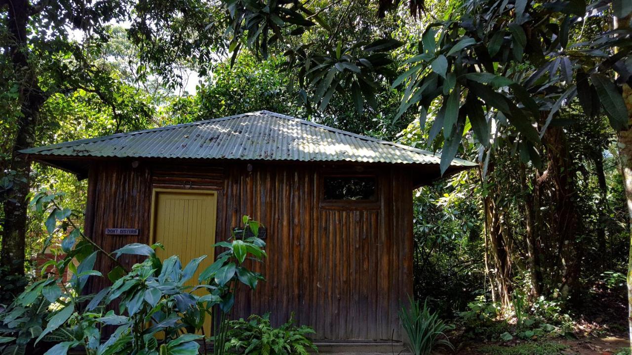 Bwindi Guest House Kanungu Kültér fotó