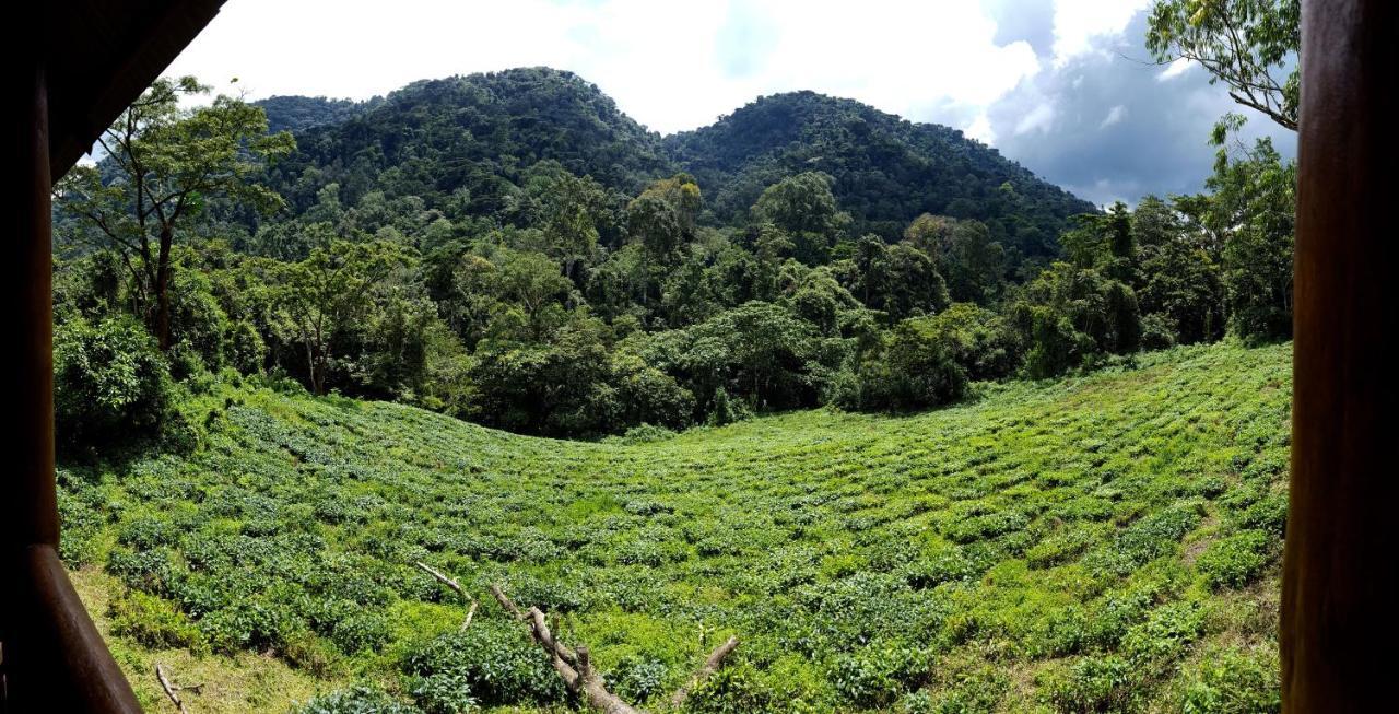 Bwindi Guest House Kanungu Kültér fotó